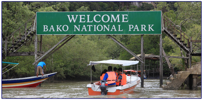 Steiger Bako NP